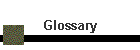 Glossary