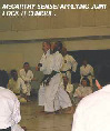 McCarthy sensei applying joint locking technique.