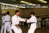 (Foreground - L-R): Desjardins sensei (Shito-kai Penetang) & Arlene Viscount (Shoto-kai Toronto Honbu) applying flow drills.