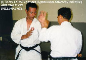 (L) Sensei Ahad Tanzadeh (Shito-kai Tanzedeh School) applying flow drill practice..