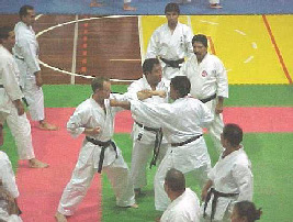 Michael Zinck (L), Master Fumio Demura (C), and Ted Rabino (R) (Shitokai USA).