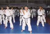 Kata training with friends...  (l-r): Phillip Powell (Hereford, England Shushinkai Shitoryu); Stephen Bollard (South Wirral, England Shushinkai Shitoryu); Nigel Nikolaisen (Campbell River, B.C. Shitokai Canada); Brian Jarvis (Hereford, England Shushinkai Shitoryu); Moledzki Sensei (Shitokai Canada); Guido Alba (Guatemala, Shitokai Guatemala); and Victor (Shitokai Mexico).