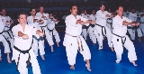 Front row participants in Hasegawa Yukimitsu senseis Matsumura no Bassai kata seminar are Sensei Sam Moledzki, 6th Dan Shito-kai Canada (far right), Sensei Ted Rabino, 5th Dan USA Shito-kai (centre) Dr. Fernando Meza, 5th Dan  Shito-kai Mexico (far left).  2nd row (l-r) Sensei Phillip Powell, 4th Dan Shito-kai England (directly behind Dr. Meza), Sensei Brian Jarvis, 4th Dan and Sensei Stephen Bollard, 4th Dan Shito-kai England (between Dr. Meza & Sensei Rabino) and Sensei Andre Pronovost, 5th dan Shito-kai Canada (directly behind Sensei Moledzki).