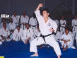 Hasegawa Yukimitsu sensei demonstrating finer points of kata Matsumura no Bassai.