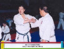 Sensei Iwata demonstrating applications to kata NIPAIPO.