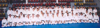 Seminar participants with Iwata sensei and Ishikawa sensei together.