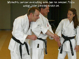 Moledzki sensei executing arm bar on sensei Zinck while Julie Desilet looks on.