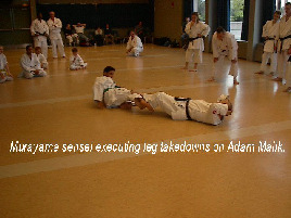 Murayama sensei executing leg takedowns on Adam Malik.