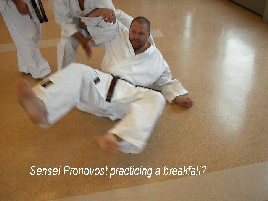 Sensei Pronovost practicing a breakfall?