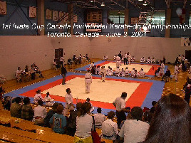 1st Iwata Cup Invitational Championships.  Toronto, Canada.  June 3, 2001.