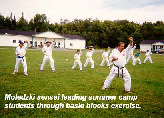 Moledzki sensei leading summer camp students through basic block exercise.