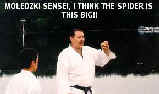 "Moledzki sensei, I think the spider is this big!"