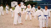 Moledzki Sensei supervising bunkai/oyo for Kata Heian Nidan.